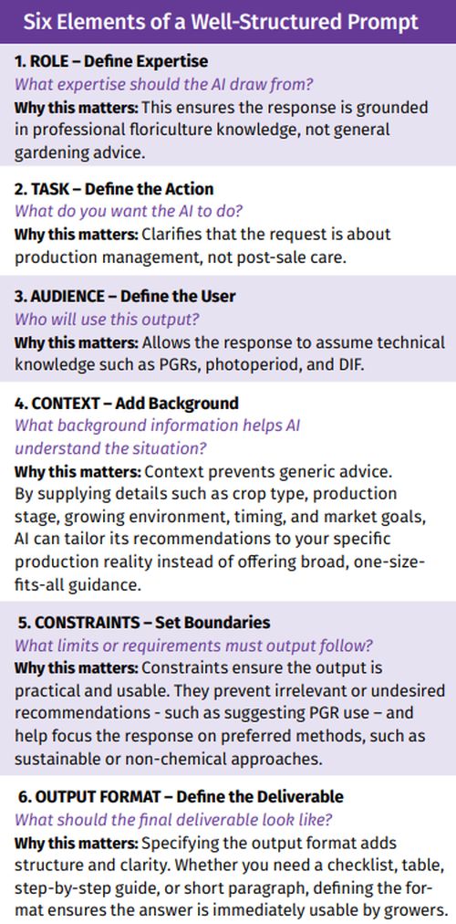 Figure 2. Six elements to include in a well-structured prompt.