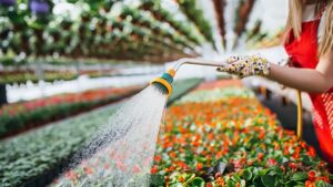 How to Deliver Environmental Sustainability Messaging to Plant Consumers