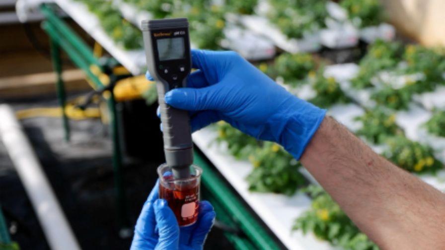 Measuring nutrient solution pH is useful on its own but becomes more powerful when tracked as a trend alongside EC, drainage, and environmental demand.
