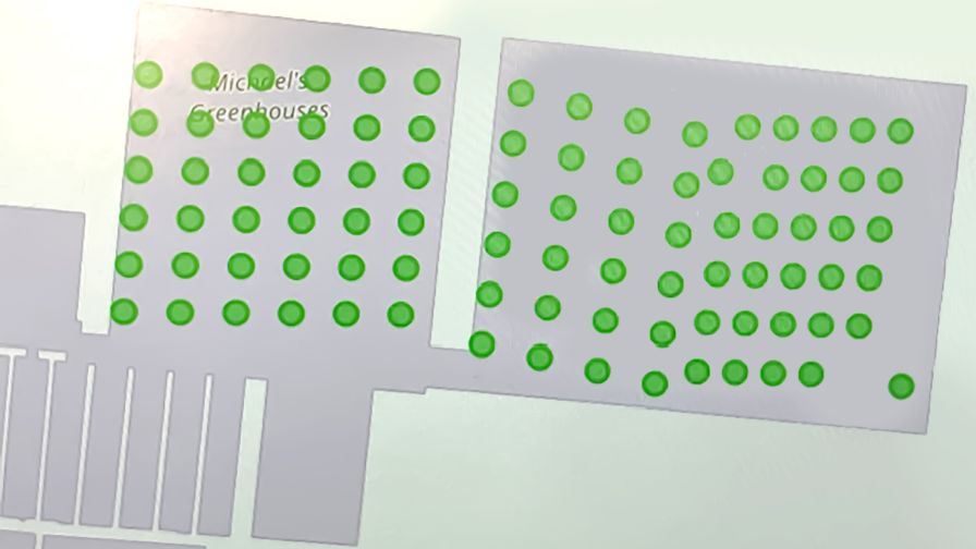 AI-Powered Sticky Card Analysis Trialed at Michael’s Greenhouses