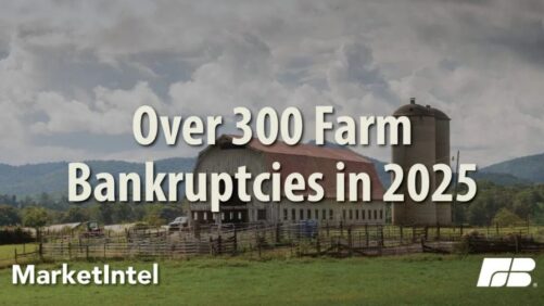 U.S. Farm Bankruptcies Climbed for Another Consecutive Year in 2025