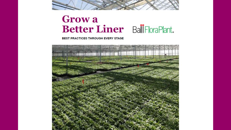 Cover for the 'Grow a Better Liner' guide.
