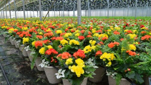 Get Your Copy of “The Index of Prices Paid by Growers”