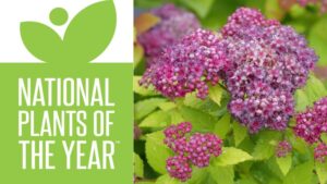 Video Spotlight: 2026 National Plants of the Year