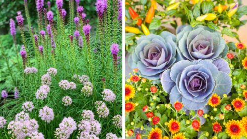 Rethinking Garden Center Layouts to Better Guide Consumers