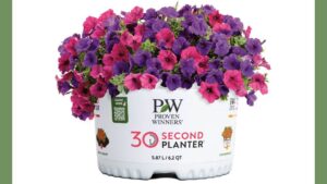 30-Second Planters