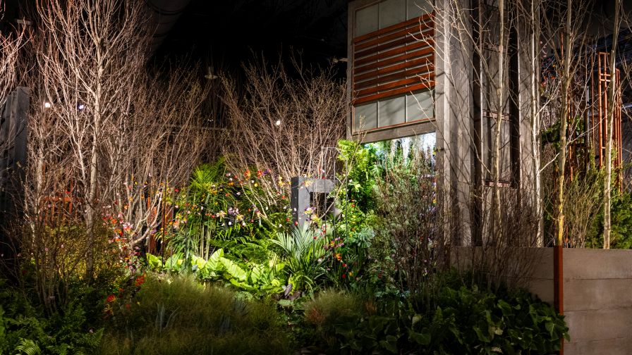 The "The Unseen Palette" exhibit from Mark Cook Landscape & Contracting, the winner of the PHS Philadelphia Flower Show Cup for Best in Show — Landscape.