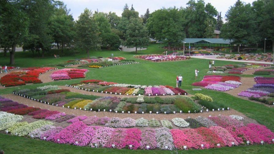 Colorado State University's flower trial garden.