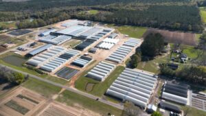 Emerald Coast Growers Celebrating 35 Years of Growing in 2026