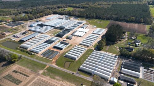 Emerald Coast Growers Celebrating 35 Years of Growing in 2026