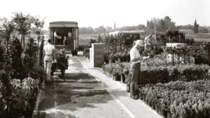 National Garden Bureau Shines a Light on Long-Time Industry Leading Companies