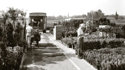 National Garden Bureau Shines a Light on Long-Time Industry Leading Companies