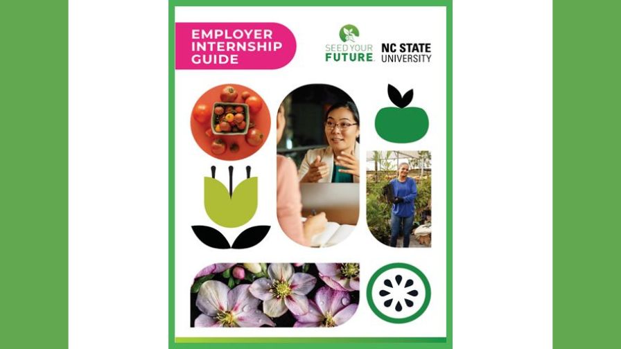 The Internship Research Report and Employer Resource Toolkit.