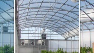 Free Air Series