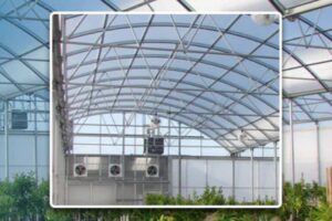 The Free Air Series from Conley's is a greenhouse design manufactured with natural ventilation in mind.