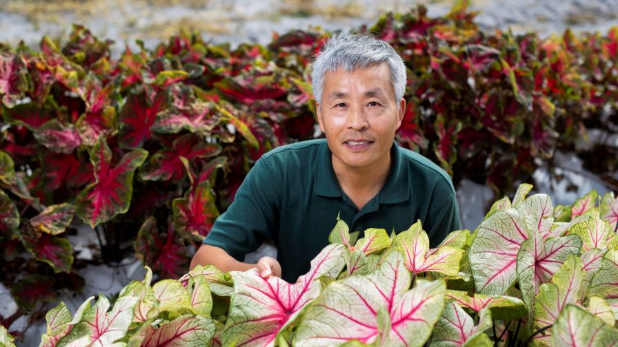 Professor of Horticultural Sciences Zhanao Deng.