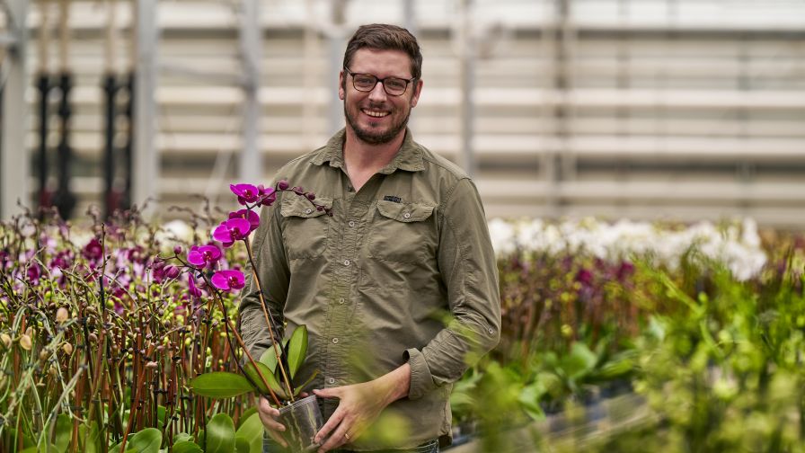 Ben Van Wingerden’s strategic approach to growing the Color Orchids business has helped the company become a true market innovator.
