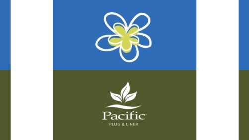 Bloomin’ Easy Announces New Perennial Partnership with Pacific Plug and Liner