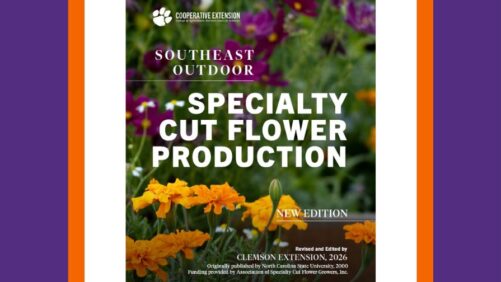 Clemson Extension Releases New Cut Flower Guide