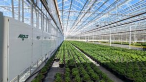 Getting More from Environmental Controls