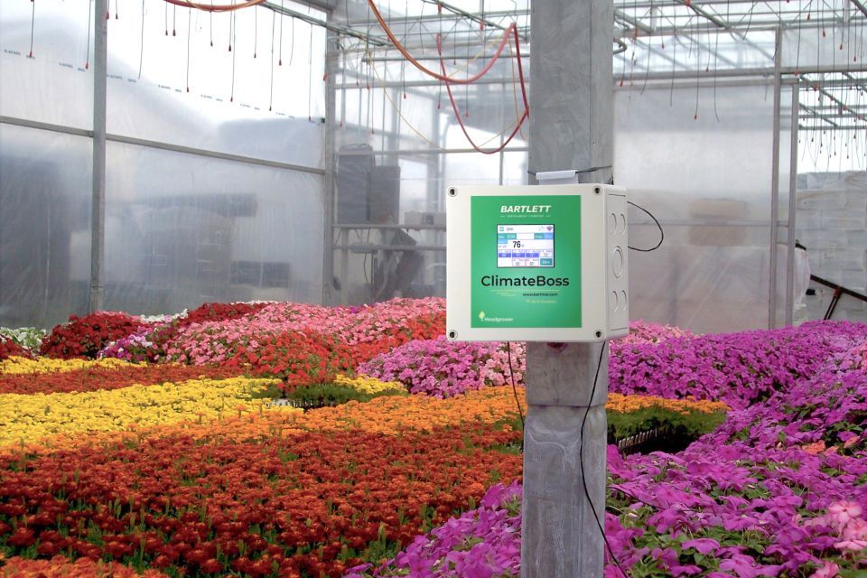 Environmental control systems can integrate functions such as ventilation, misting, and shading into a single greenhouse management setup.