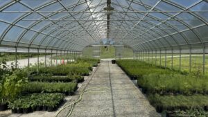 Take This Survey on the Use of Plant Containers in Floriculture