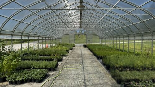 Take This Survey on the Use of Plant Containers in Floriculture