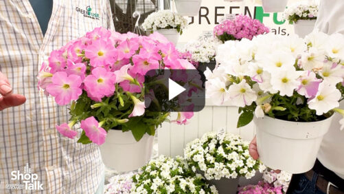 Videos from CAST 2026: Firefly Petunia Gets an Update at Green Fuse