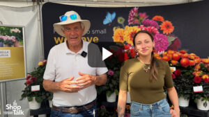 Videos from CAST 2026: Standout Dahlias on Display at Beekenkamp