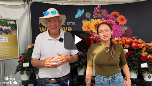Videos from CAST 2026: Standout Dahlias on Display at Beekenkamp