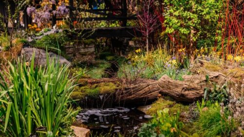 Top Gardening Trend Predictions from the 2026 Philadelphia Flower Show