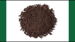 Investigating Perlite Free Mixes for Propagation