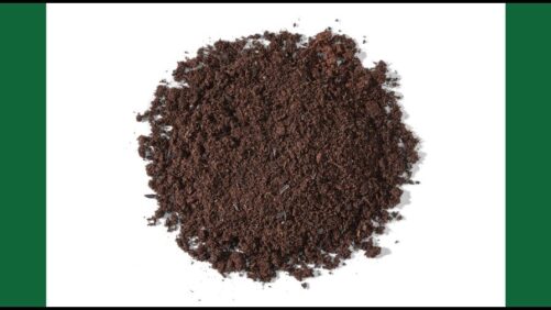 Investigating Perlite Free Mixes for Propagation
