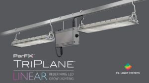 TriPlane Linear