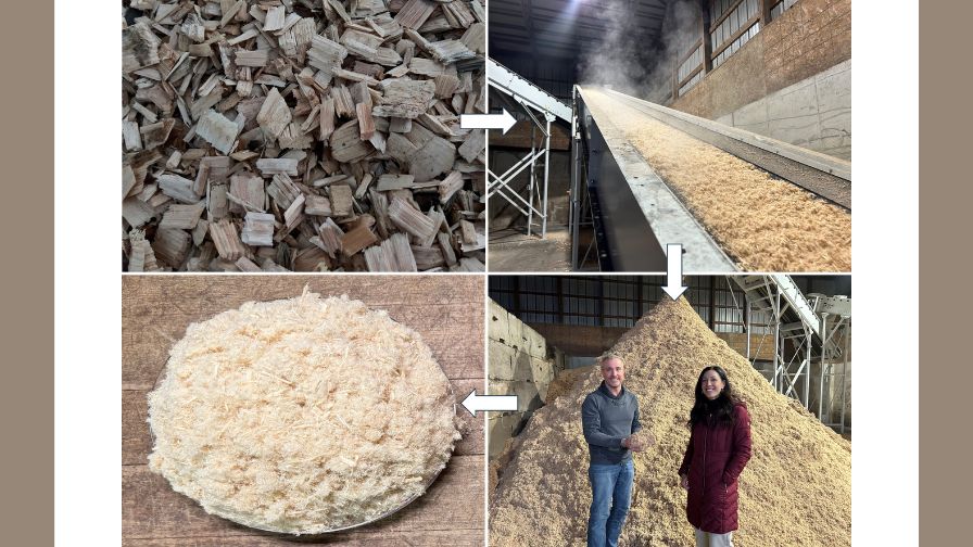 Figure 1. White pine chips being extruded into wood fiber growing media at P.R. Russell in Brentwood, NH.