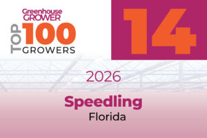 #14: Speedling
