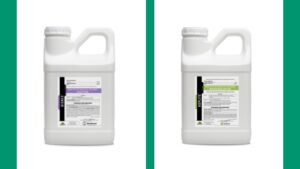 BioWorks Introduces Two New Crop Protection Products