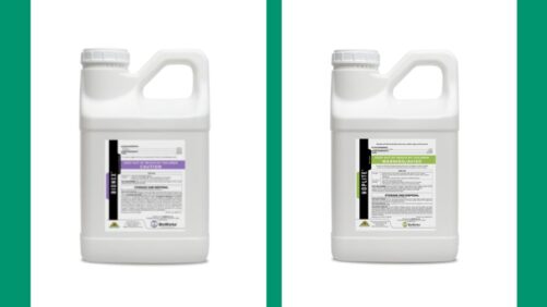BioWorks Introduces Two New Crop Protection Products