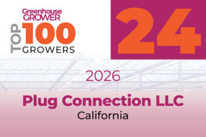 #24: Plug Connection LLC