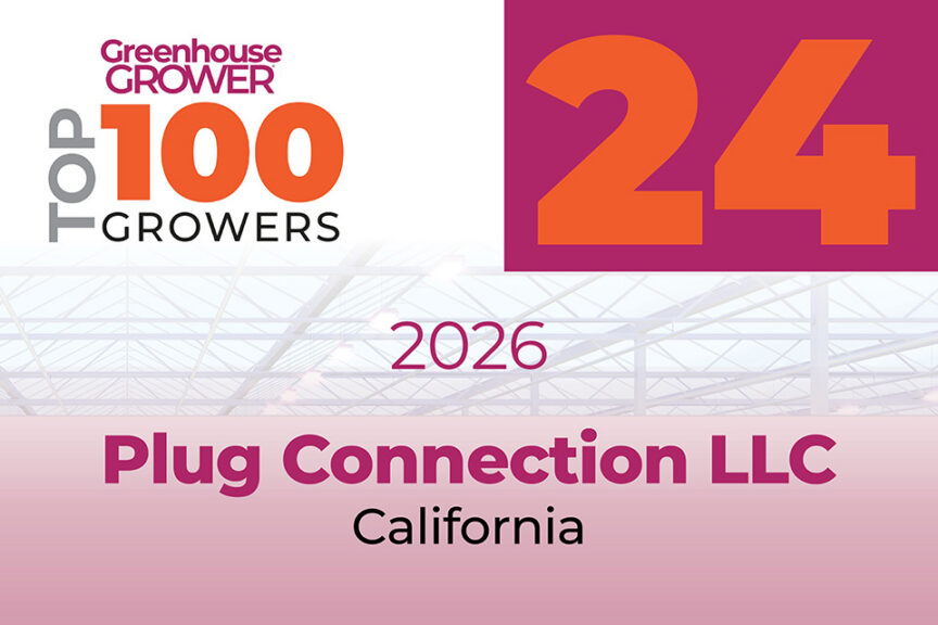 #24: Plug Connection LLC