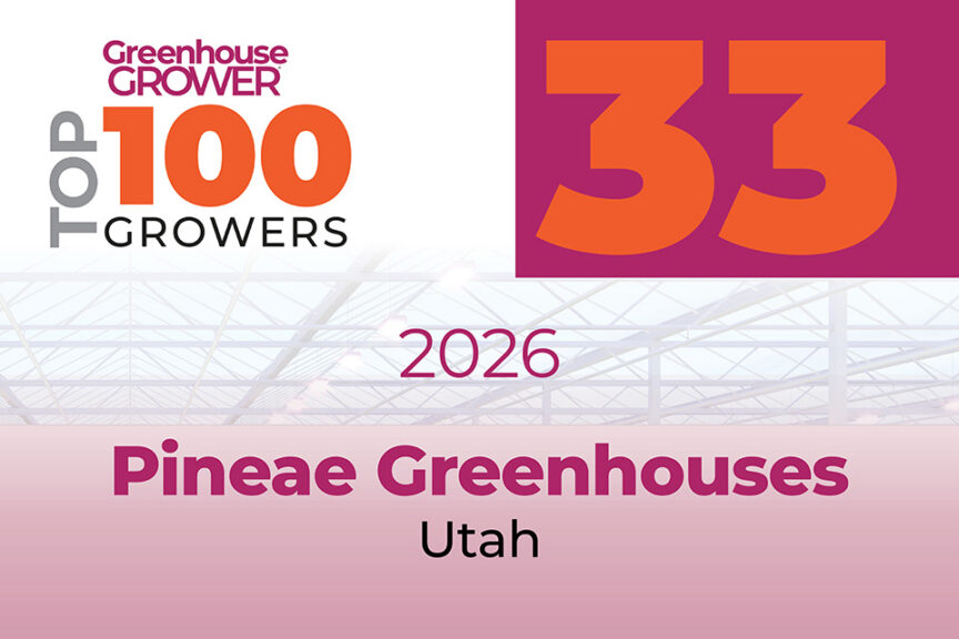 #33: Pineae Greenhouses