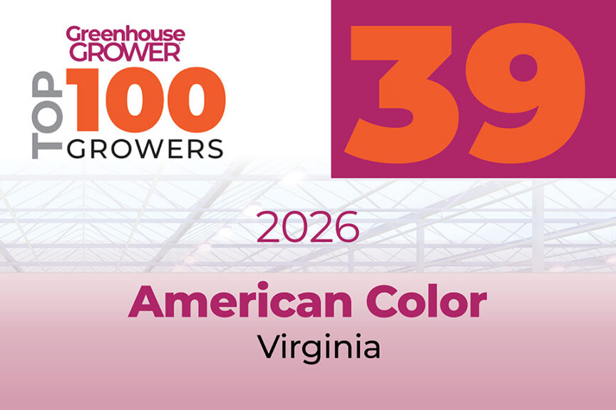 #39: American Color