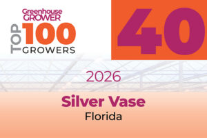 #40: Silver Vase