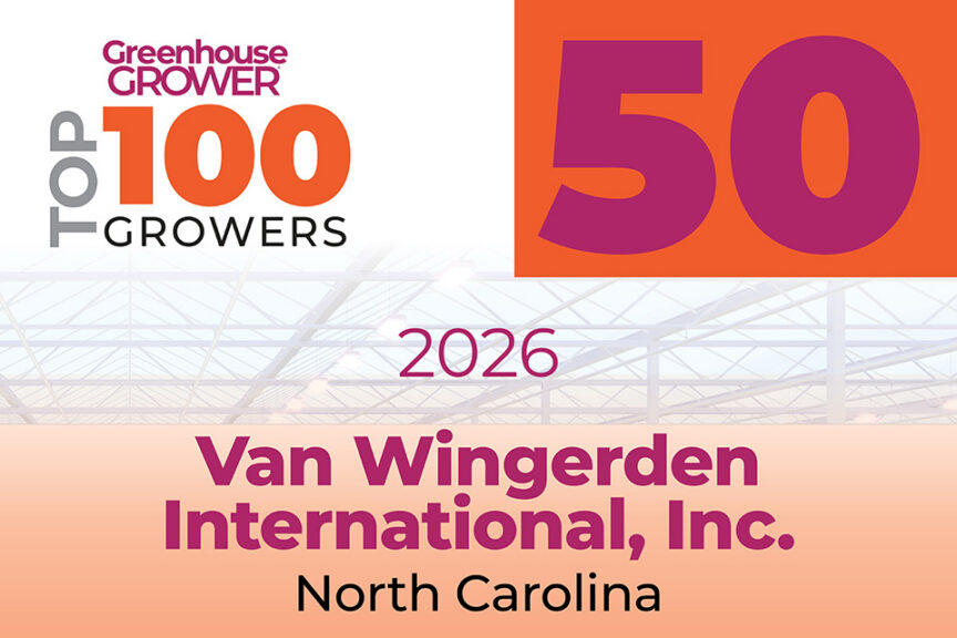#50: Van Wingerden International Inc.