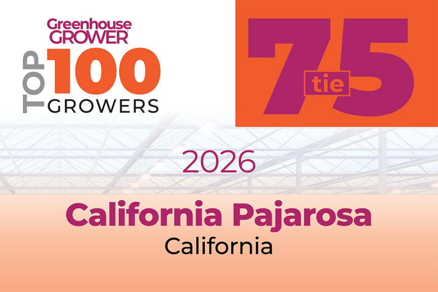 #75t; California Pajarosa