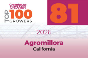 #81: Agromillora