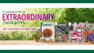 Danziger Releases 2026–2027 Annuals and Perennials Catalogs