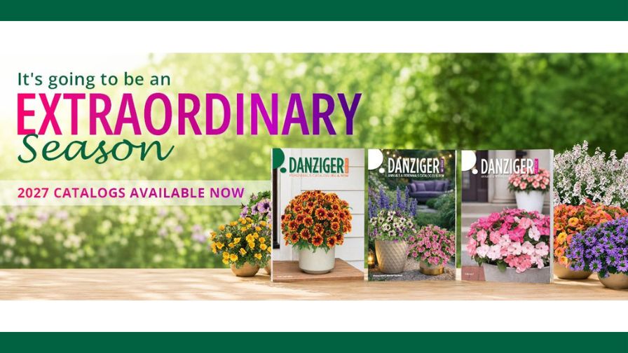 Banner for new 2027 varieties catalogs.