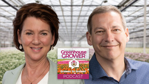 Grower to Grower Bonus Podcast: Why Dümmen Orange and Syngenta Flowers Are Coming Together