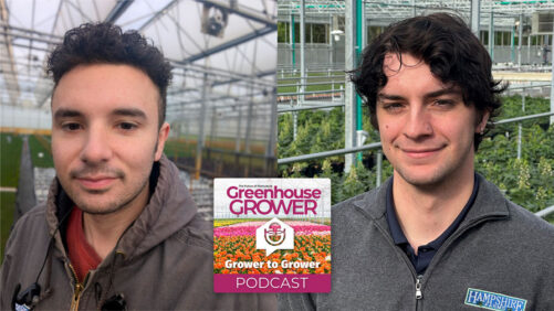 Grower to Grower Podcast: Space Management, Process Refinements, and More With Hampshire Farms